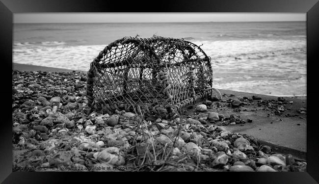 Abandoned lobster pot on the beach in black and white Framed Print by Chris Yaxley