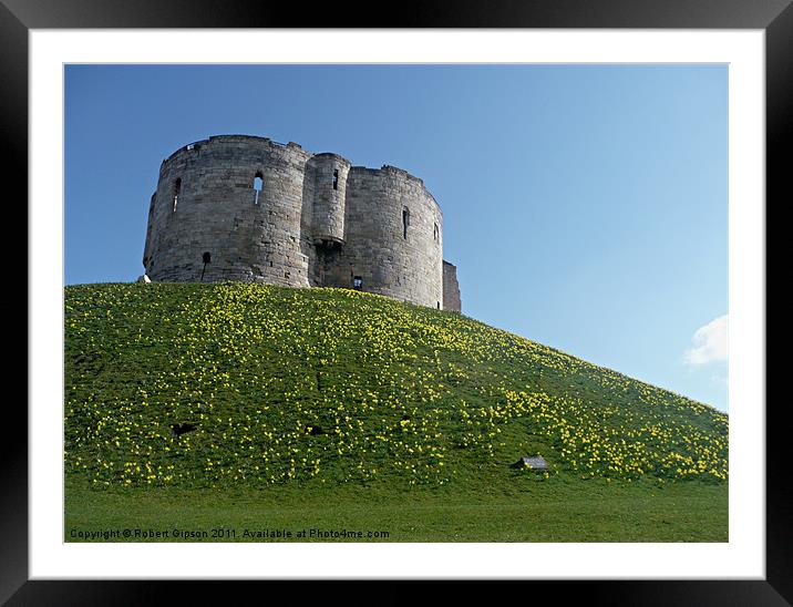 City of York Clifford's Tower Historic building. Framed Mounted Print by Robert Gipson