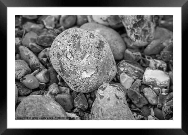 Rock on pebble beach Framed Mounted Print by Chris Yaxley