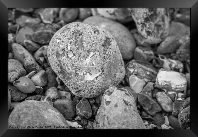 Rock on pebble beach Framed Print by Chris Yaxley