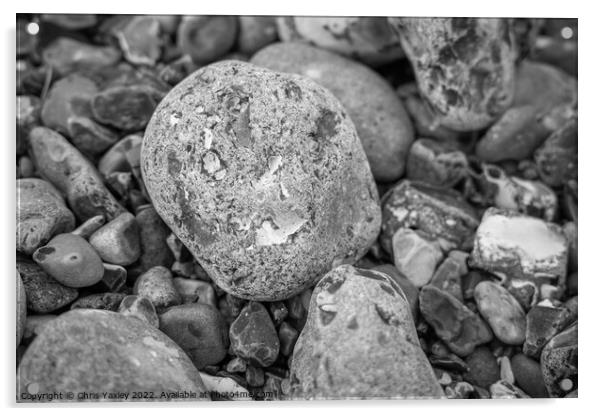 Rock on pebble beach Acrylic by Chris Yaxley