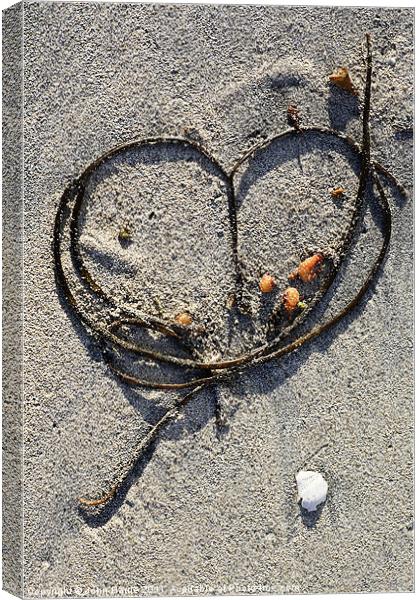 Seaweed Heart Canvas Print by John Barrie