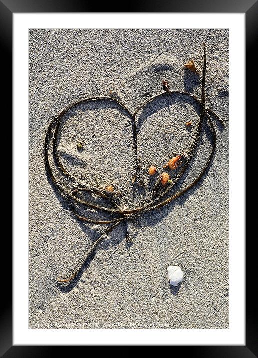Seaweed Heart Framed Mounted Print by John Barrie
