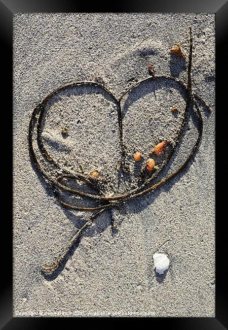 Seaweed Heart Framed Print by John Barrie