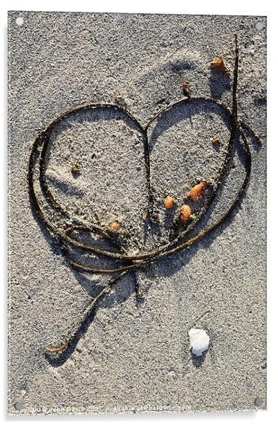Seaweed Heart Acrylic by John Barrie