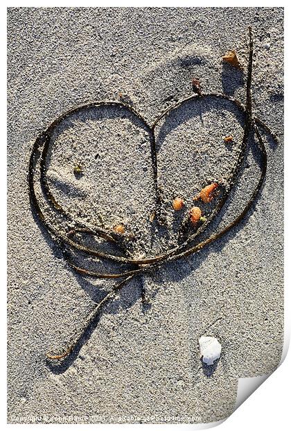 Seaweed Heart Print by John Barrie