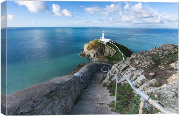 south stack anglesey Canvas Print by Kevin Winter