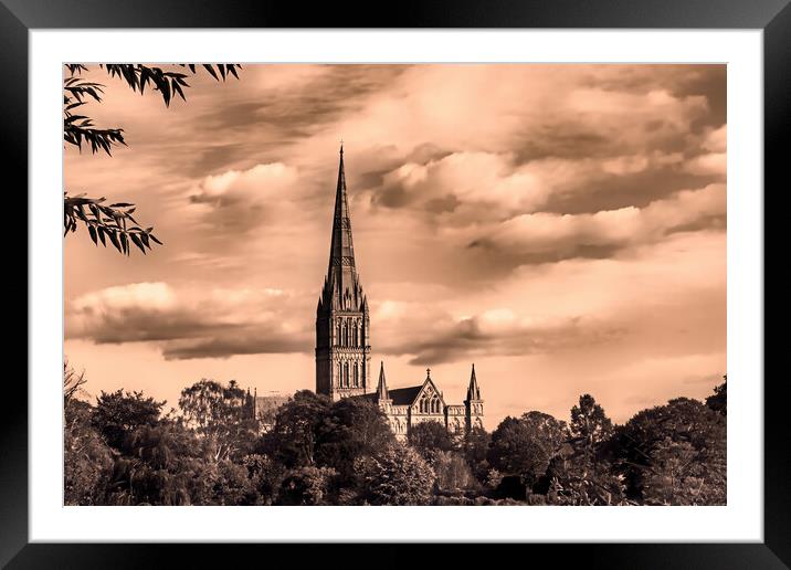 Salisbury Cathedral (Sepia) Framed Mounted Print by Joyce Storey
