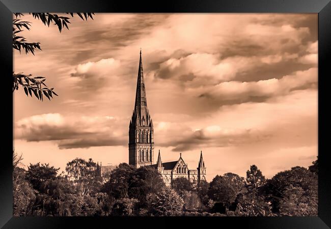 Salisbury Cathedral (Sepia) Framed Print by Joyce Storey