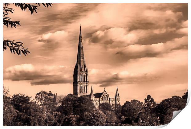 Salisbury Cathedral (Sepia) Print by Joyce Storey