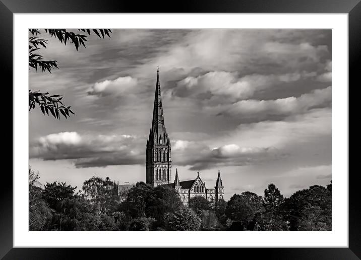 Salisbury Cathedral (Mono) Framed Mounted Print by Joyce Storey