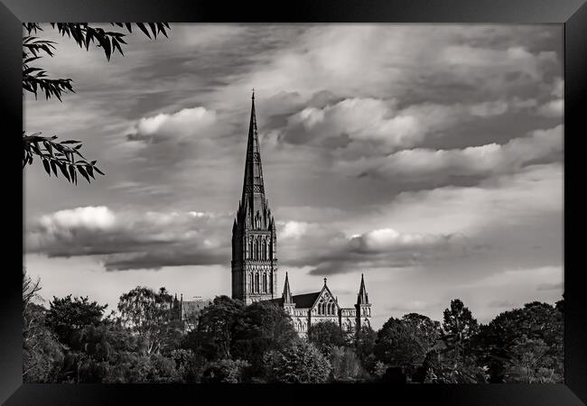 Salisbury Cathedral (Mono) Framed Print by Joyce Storey