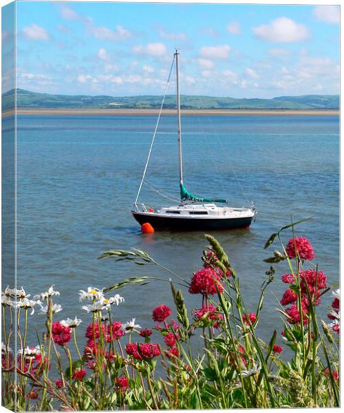 View Across the Dovey Estuary  Canvas Print by Dave Urwin