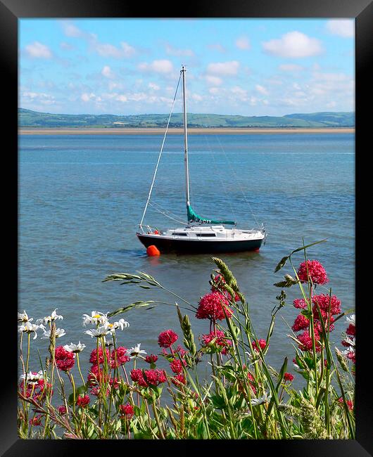 View Across the Dovey Estuary  Framed Print by Dave Urwin