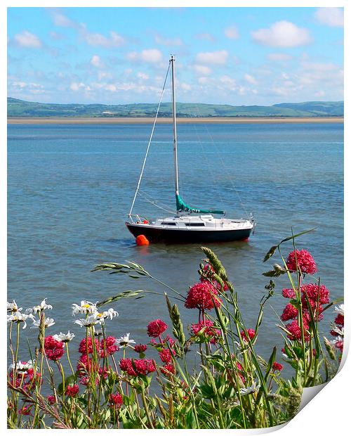 View Across the Dovey Estuary  Print by Dave Urwin