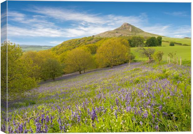 Carpet of Bluebells by Roseberry Topping Canvas Print by Kevin Winter