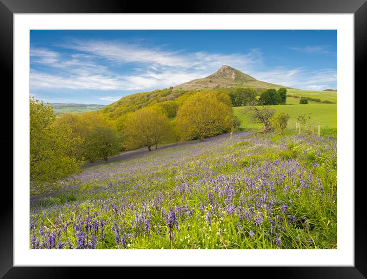 Carpet of Bluebells by Roseberry Topping Framed Mounted Print by Kevin Winter