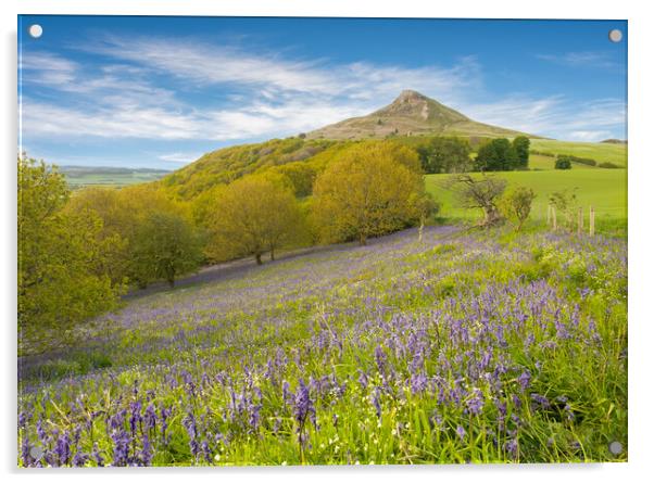 Carpet of Bluebells by Roseberry Topping Acrylic by Kevin Winter