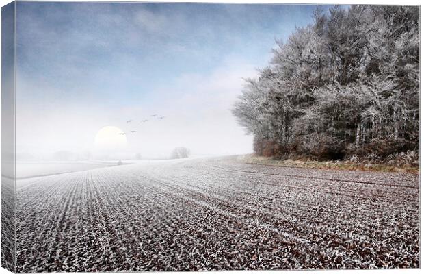 A Hazy Shade of Winter Canvas Print by Dave Urwin