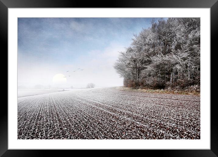 A Hazy Shade of Winter Framed Mounted Print by Dave Urwin