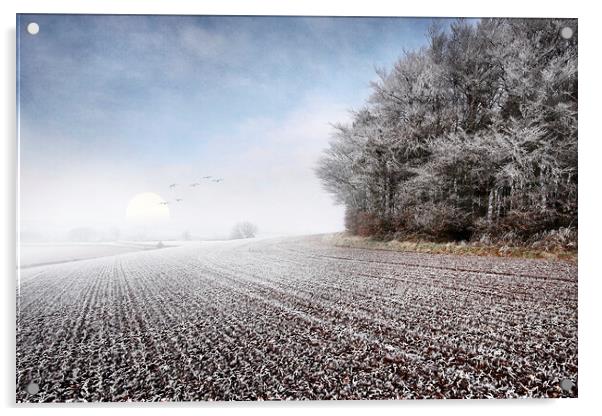 A Hazy Shade of Winter Acrylic by Dave Urwin