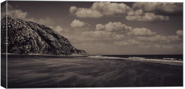 Wild and Moody Beachscape Canvas Print by David McGeachie
