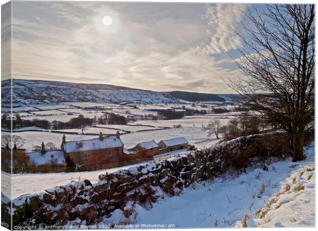Glaisdale, North Yorkshire in winter. Canvas Print by Anthony David Baynes ARPS