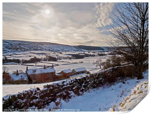 Glaisdale, North Yorkshire in winter. Print by Anthony David Baynes ARPS