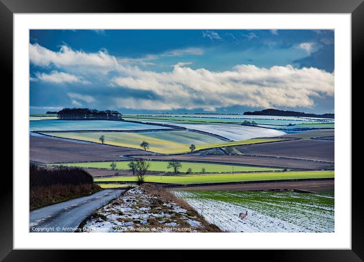 Winter on the Yorkshire Wolds near Duggleby, with a hare bolting from cover. Framed Mounted Print by Anthony David Baynes ARPS
