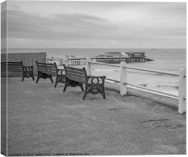 Benches on Cromer clifftop  Canvas Print by Chris Yaxley