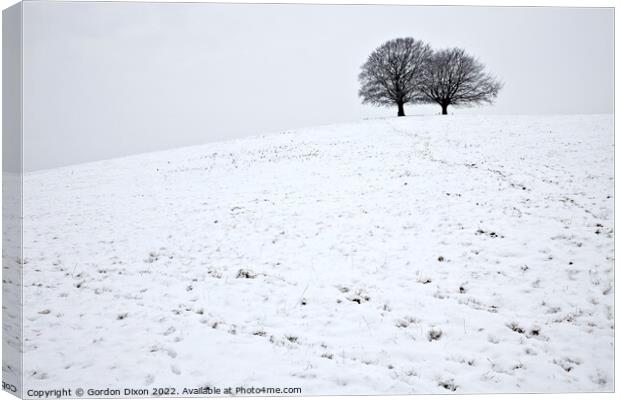 Spir Hill in Somerset covered in snow and two trees Canvas Print by Gordon Dixon