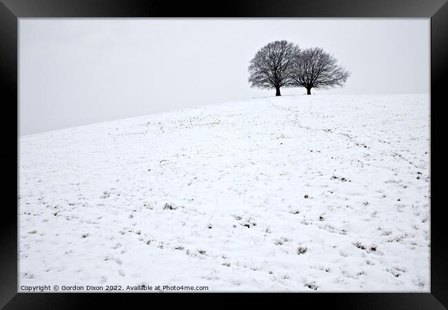 Spir Hill in Somerset covered in snow and two trees Framed Print by Gordon Dixon