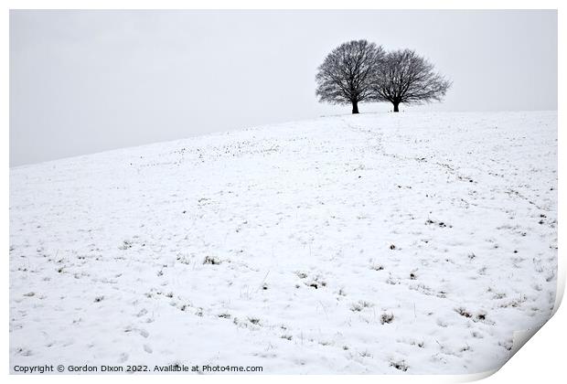 Spir Hill in Somerset covered in snow and two trees Print by Gordon Dixon