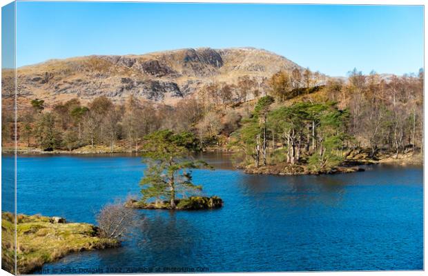 Tarn Hows and Wetherlam Canvas Print by Keith Douglas