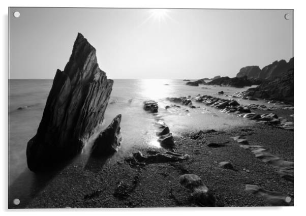 Ayrmer Cove Black and White Acrylic by David Neighbour
