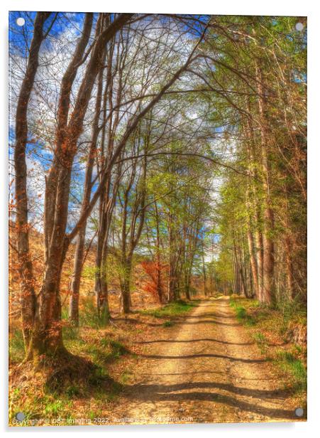 Spring Trail Light Speyside Highland Scotland Acrylic by OBT imaging