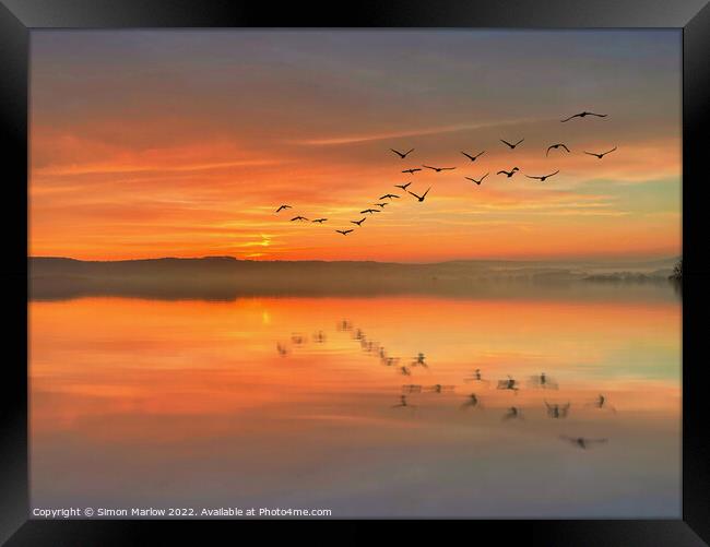 Birds over a lake at sunset Framed Print by Simon Marlow