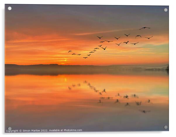 Birds over a lake at sunset Acrylic by Simon Marlow
