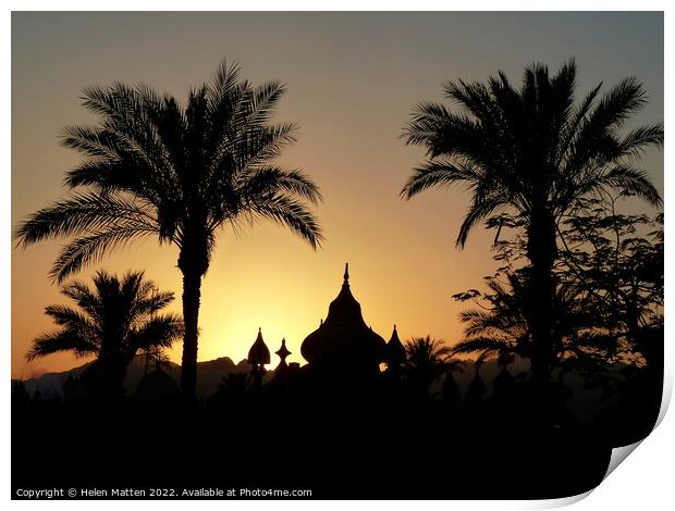 Palm Tree Egyptian Sunrise 2 Print by Helkoryo Photography