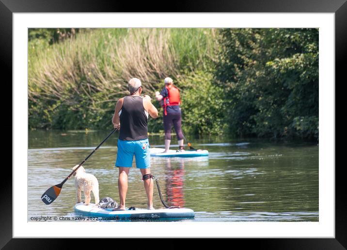 Paddle boarding with pooch Framed Mounted Print by Chris Yaxley