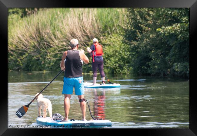 Paddle boarding with pooch Framed Print by Chris Yaxley