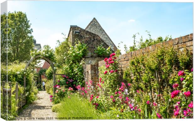 English country garden Canvas Print by Chris Yaxley