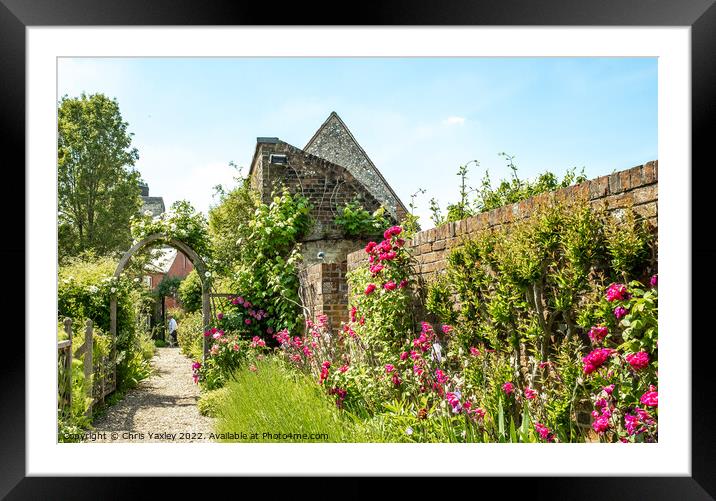 English country garden Framed Mounted Print by Chris Yaxley