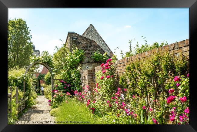 English country garden Framed Print by Chris Yaxley