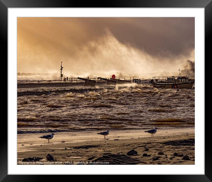 Storm Eunice Hits Lyme Regis (2) Framed Mounted Print by Philip Hodges aFIAP ,
