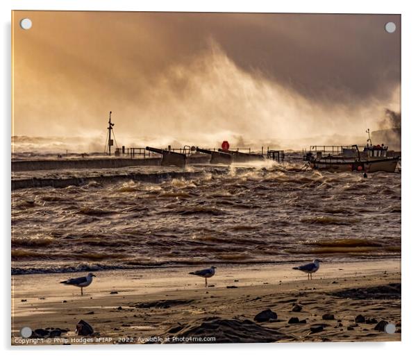 Storm Eunice Hits Lyme Regis (2) Acrylic by Philip Hodges aFIAP ,