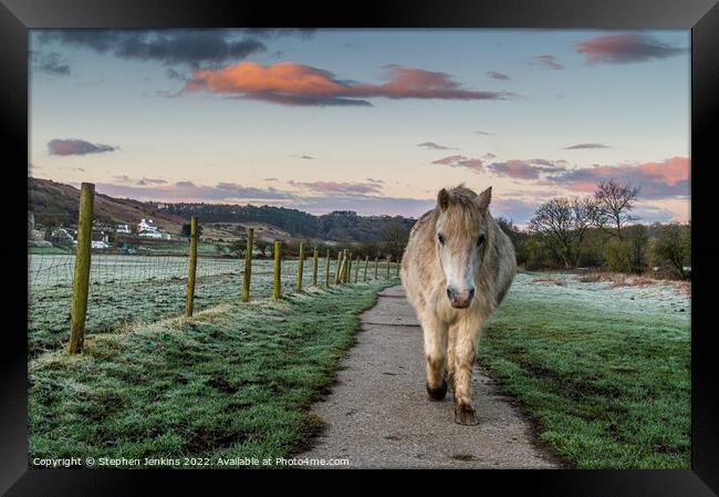 The Pony trail Framed Print by Stephen Jenkins