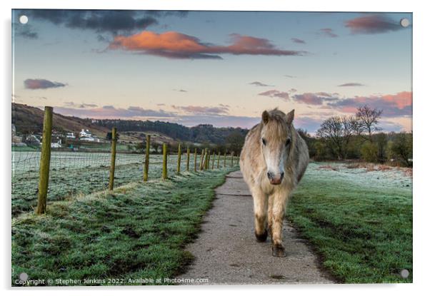 The Pony trail Acrylic by Stephen Jenkins