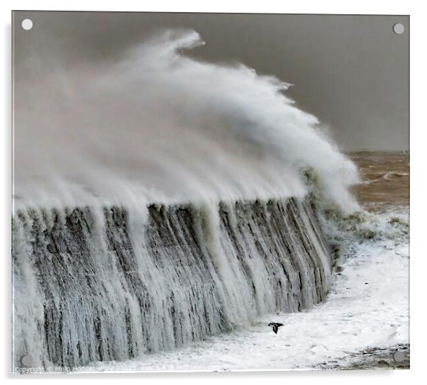 Storm Eunice Hits Lyme Regis (4) Acrylic by Philip Hodges aFIAP ,