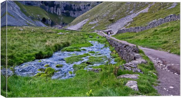 Malham Cove Canvas Print by Joyce Storey